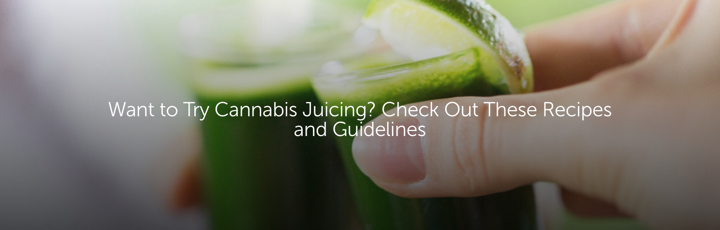 Want to Try Cannabis Juicing? Check Out These Recipes and Guidelines