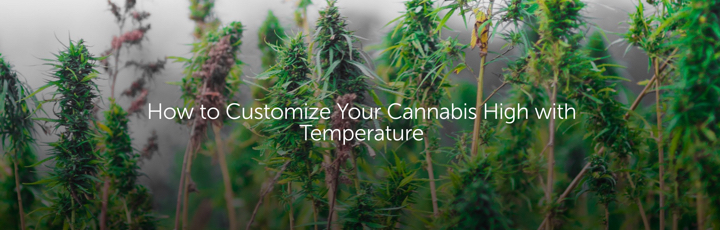 How to Customize Your Cannabis High with Temperature