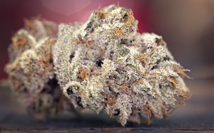 Trichome production: from grow to harvest and beyond