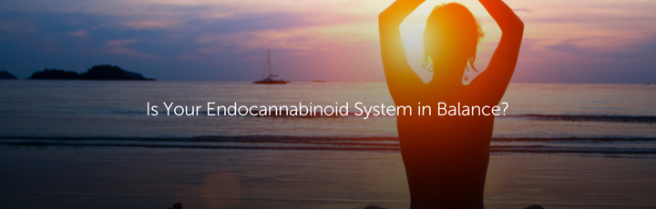 Is Your Endocannabinoid System in Balance?