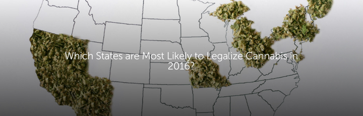 Which States are Most Likely to Legalize Cannabis in 2016?