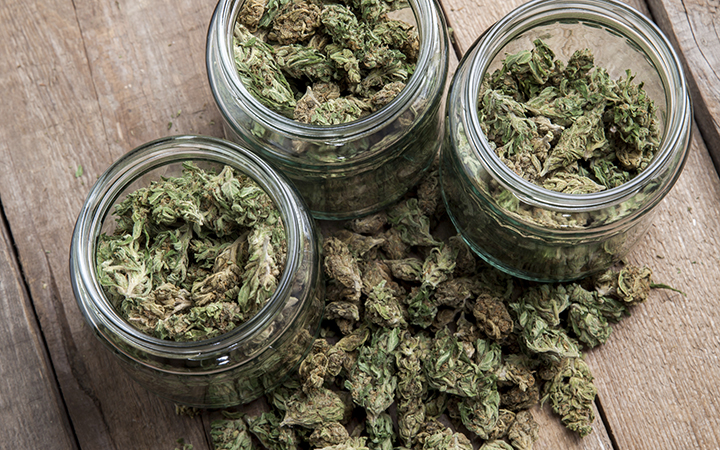 Large jars full of cannabis buds