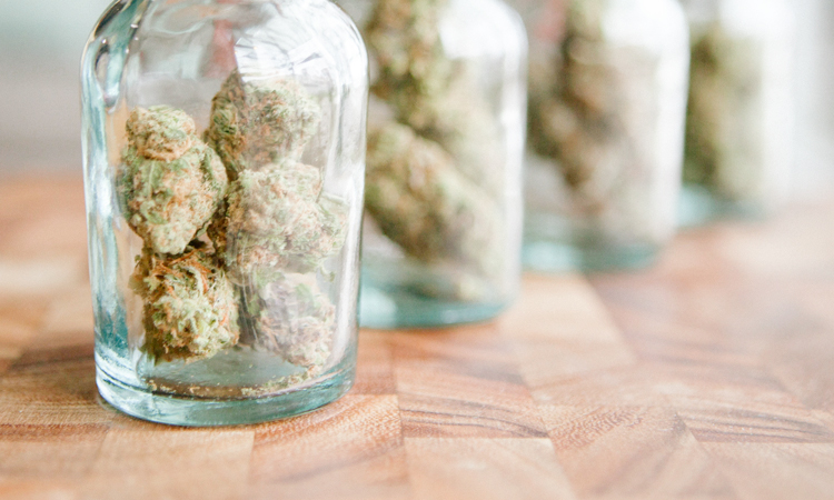 Glass jars full of cannabis buds