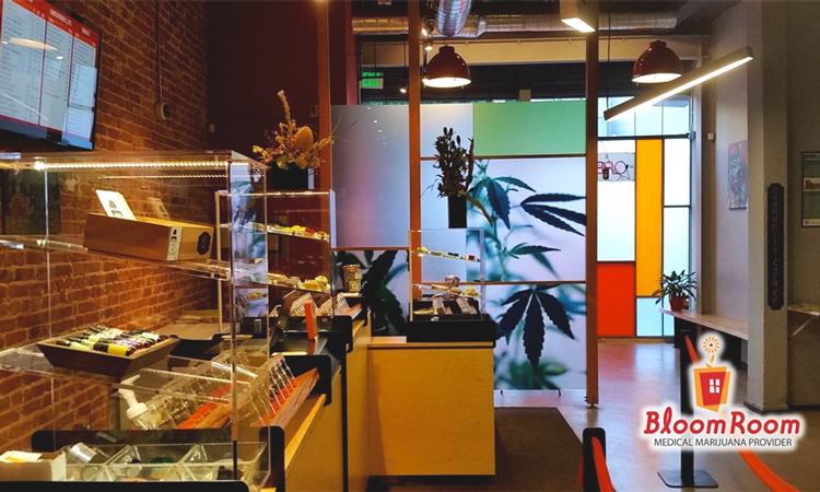 Bloom Room medical marijuana dispensary in San Francisco, California