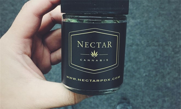 Nectar Eugene medical marijuana and recreational cannabis dispensary in Eugene, Oregon