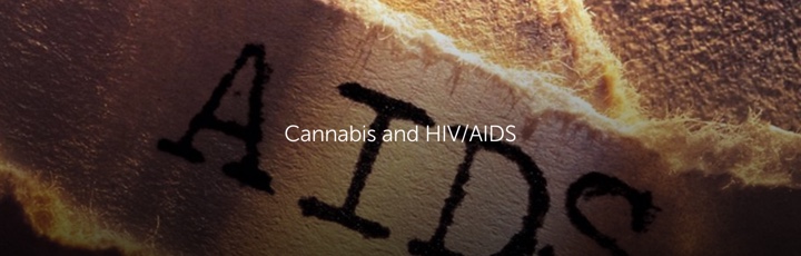 Cannabis and HIV/AIDS