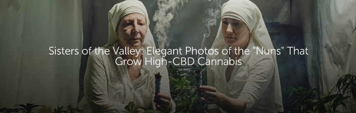 Sisters of the Valley: Elegant Photos of the "Nuns" That Grow High-CBD Cannabis