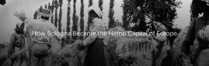  How Bologna Became the Hemp Capital of Europe