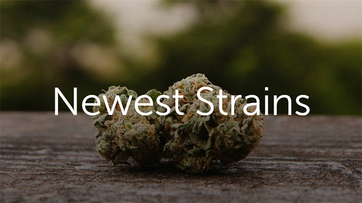 Leafly's new cannabis strains