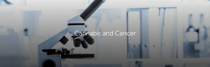 Cannabis and Cancer