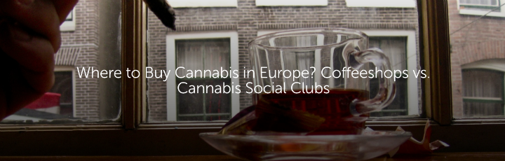 Where to Buy Cannabis in Europe? Coffeeshops vs. Cannabis Social Clubs
