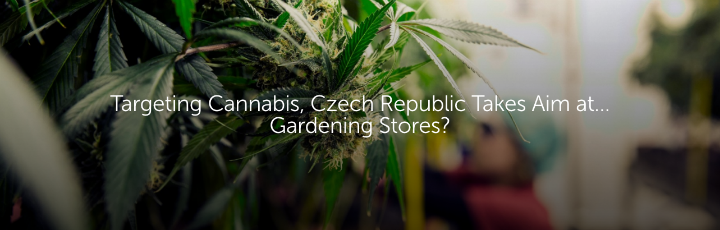  Targeting Cannabis, Czech Republic Takes Aim at… Gardening Stores?