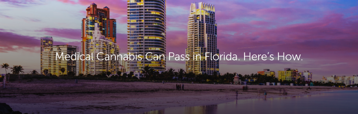  Medical Cannabis Can Pass in Florida. Here’s How.