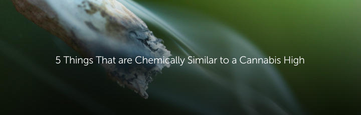 5 Things That are Chemically Similar to a Cannabis High