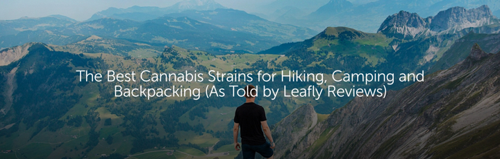 The Best Cannabis Strains for Hiking, Camping and Backpacking (As Told by Leafly Reviewers)