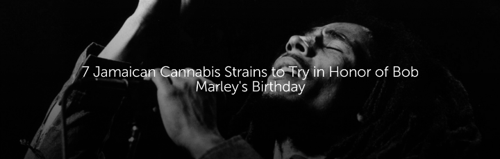  7 Jamaican Cannabis Strains to Try in Honor of Bob Marley's Birthday
