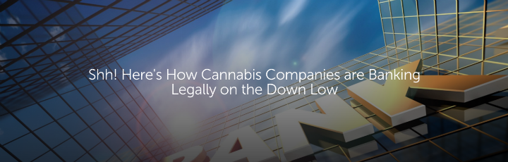 Shh! Here's How Cannabis Companies are Banking Legally on the Down Low