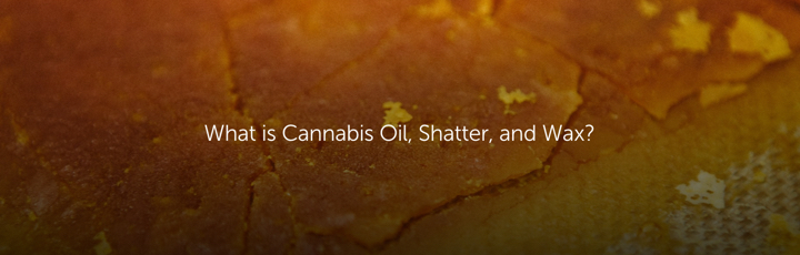 What is Cannabis Oil, Shatter, and Wax?