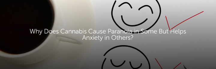  Why Does Cannabis Cause Paranoia in Some But Helps Anxiety in Others?