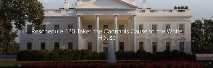  Reschedule 420 Takes the Cannabis Cause to the White House