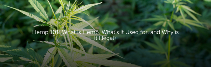 Hemp 101: What is Hemp, What's It Used for, and Why is It Illegal?