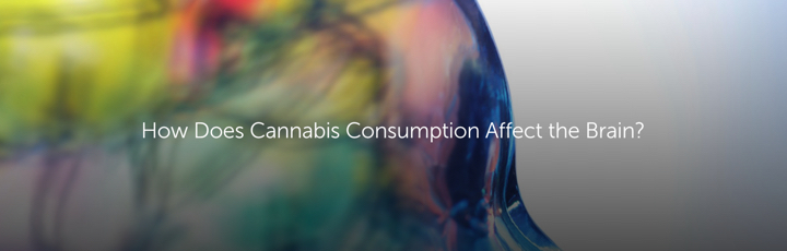 How Does Cannabis Consumption Affect the Brain?