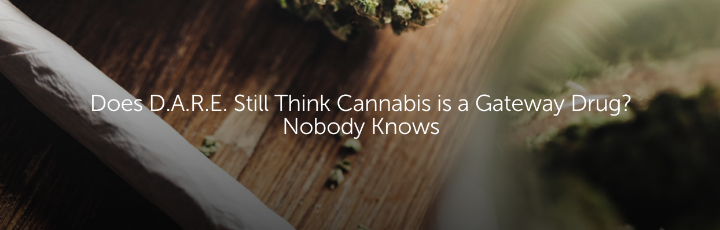 Does D.A.R.E. Still Think Cannabis is a Gateway Drug? Nobody Knows