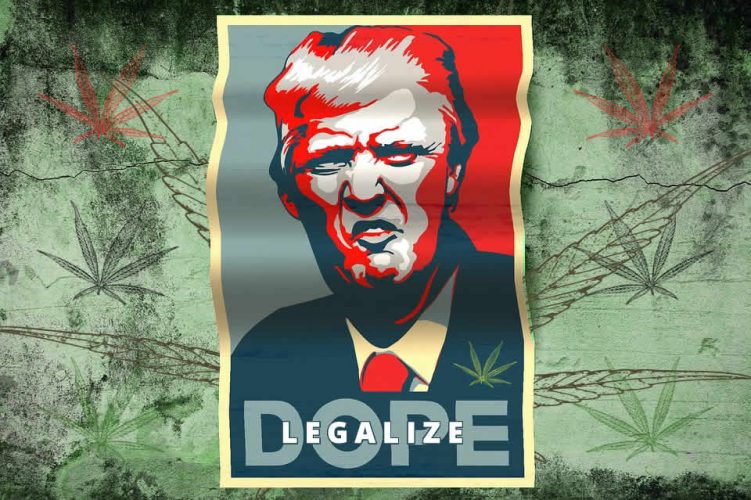 Trump backs states rights to legalize Cannabis